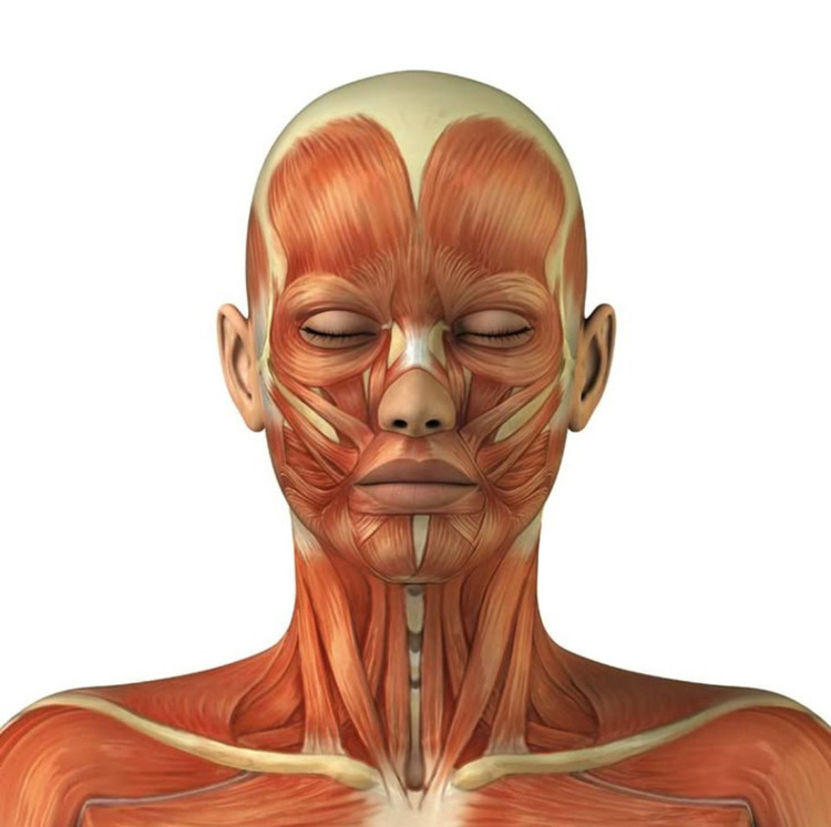 آموزش ماساژ پیشرفته(آفلاین)